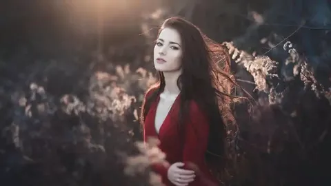 新能源车高速没电应急