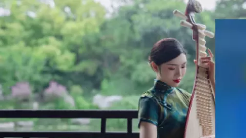 哈里斯芝加哥书巡抗议种族灭绝