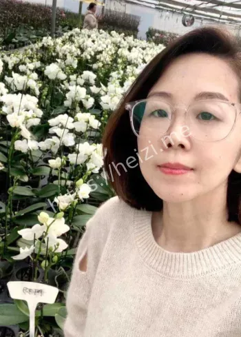 潜规则