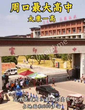 弑师案