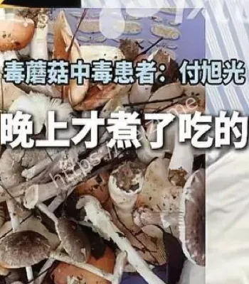 湖南永州
