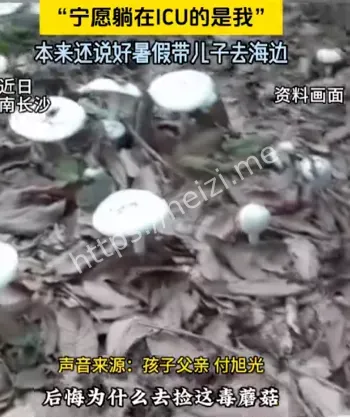 社会爱心捐助