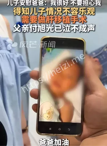 野蘑菇安全