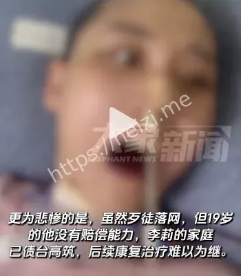 法律判决