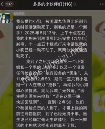 宠物店