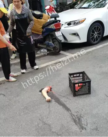 网络爆料