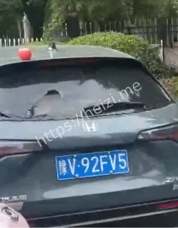 财产损失