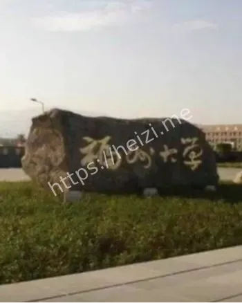 黑猫占床