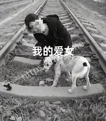董文卉