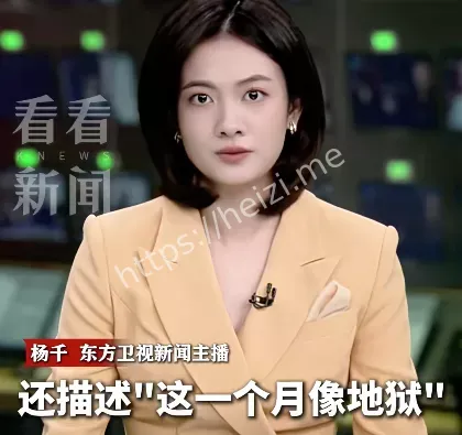 董文卉