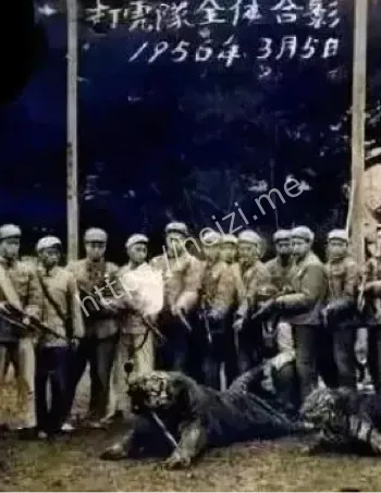 高坪村三日