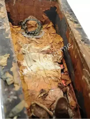三日化白骨