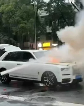 真相揭秘