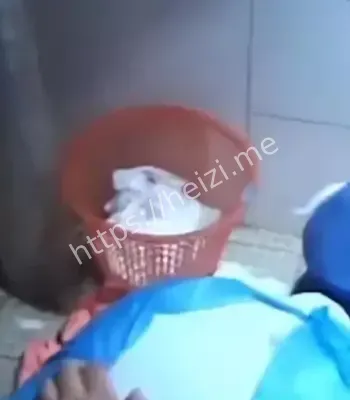 伦理底线