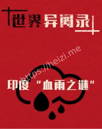 独家