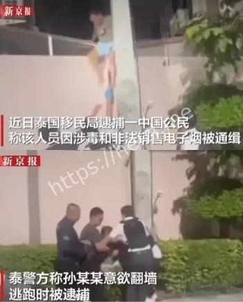 大毒枭