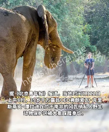杀人事件