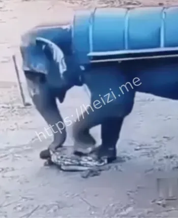 狩猎之旅