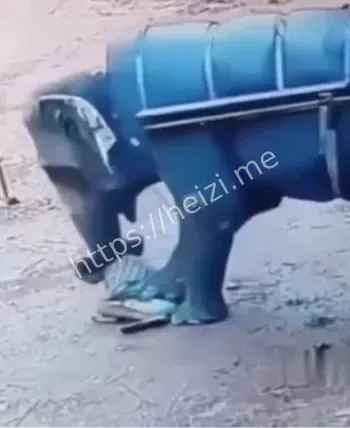 踩踏身亡