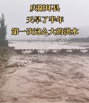 疑似溺亡