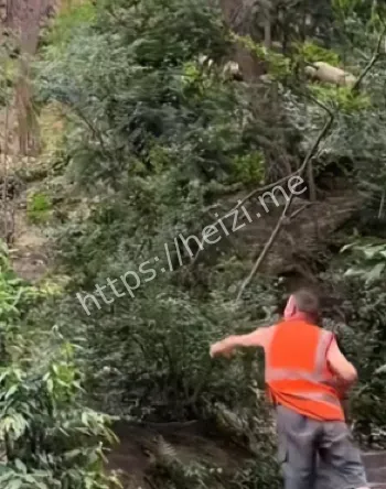 社会性死亡