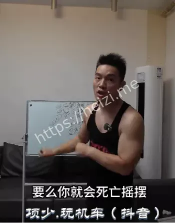 项少