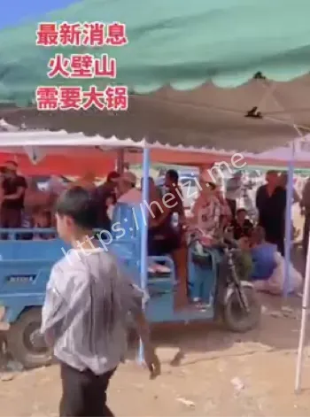 官方博弈