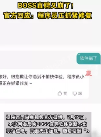 涉黄简历