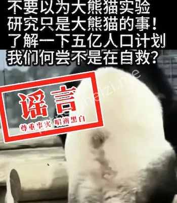 流量变现