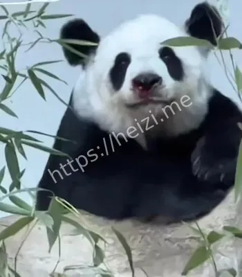 利益链