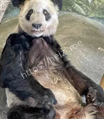 黑子网