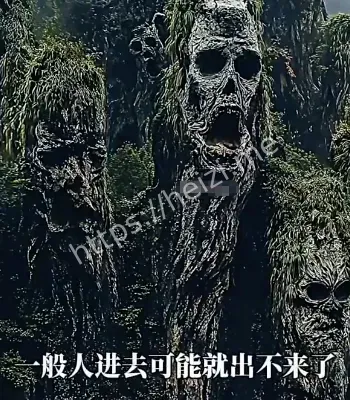 云南虫谷