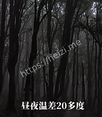 科学探索