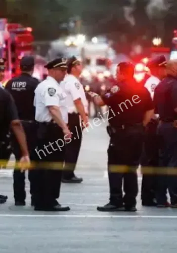 韦斯利·莱帕特纳