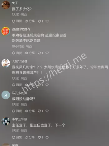 纪委调查
