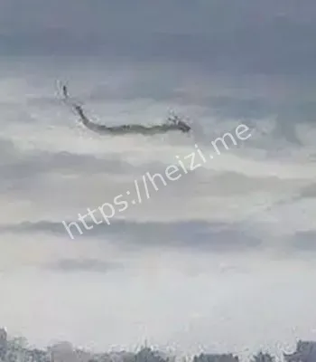 黑子网热议