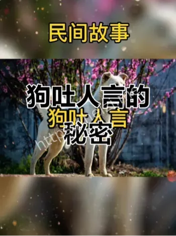 开口说人话