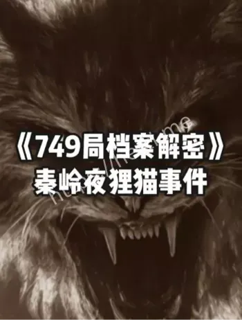 秘洞惊现