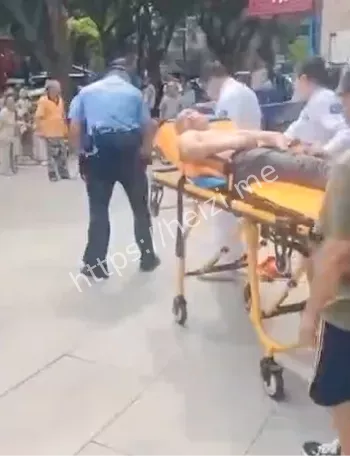 马蜂蛰人