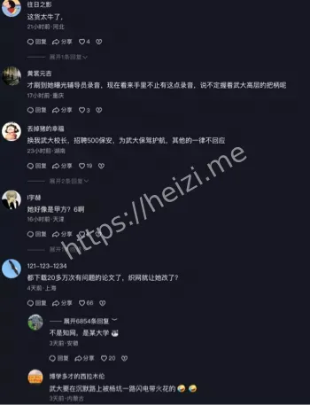 调查审核文件