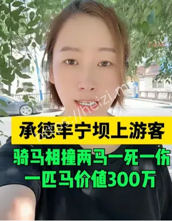 游客骑马