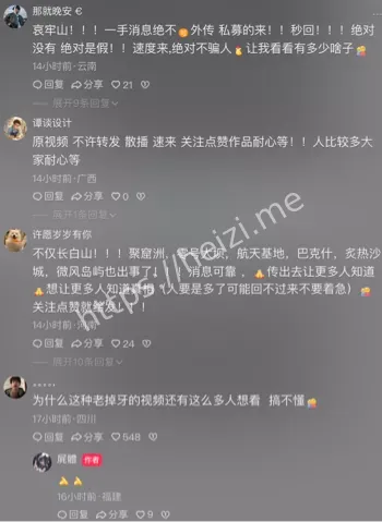 合集