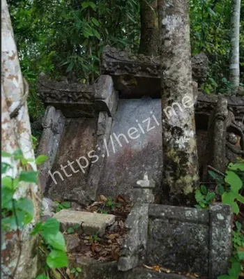 离奇死亡