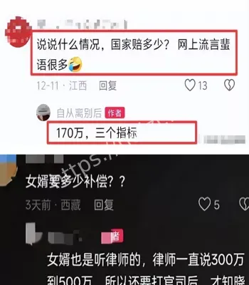 军师女婿
