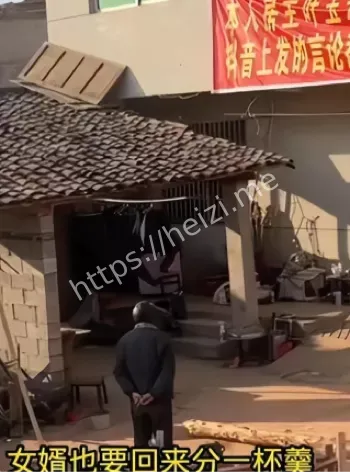 军师女婿