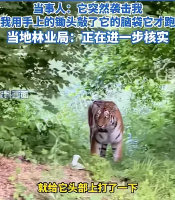 湖北恩施