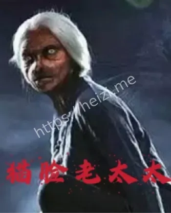 猫灵附体