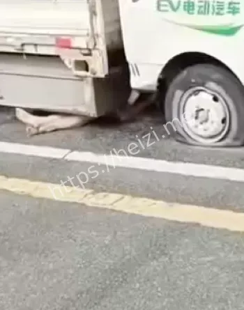 心理援助