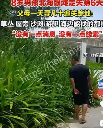 8岁男孩在沙滩上走失