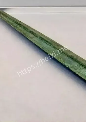 科考探秘